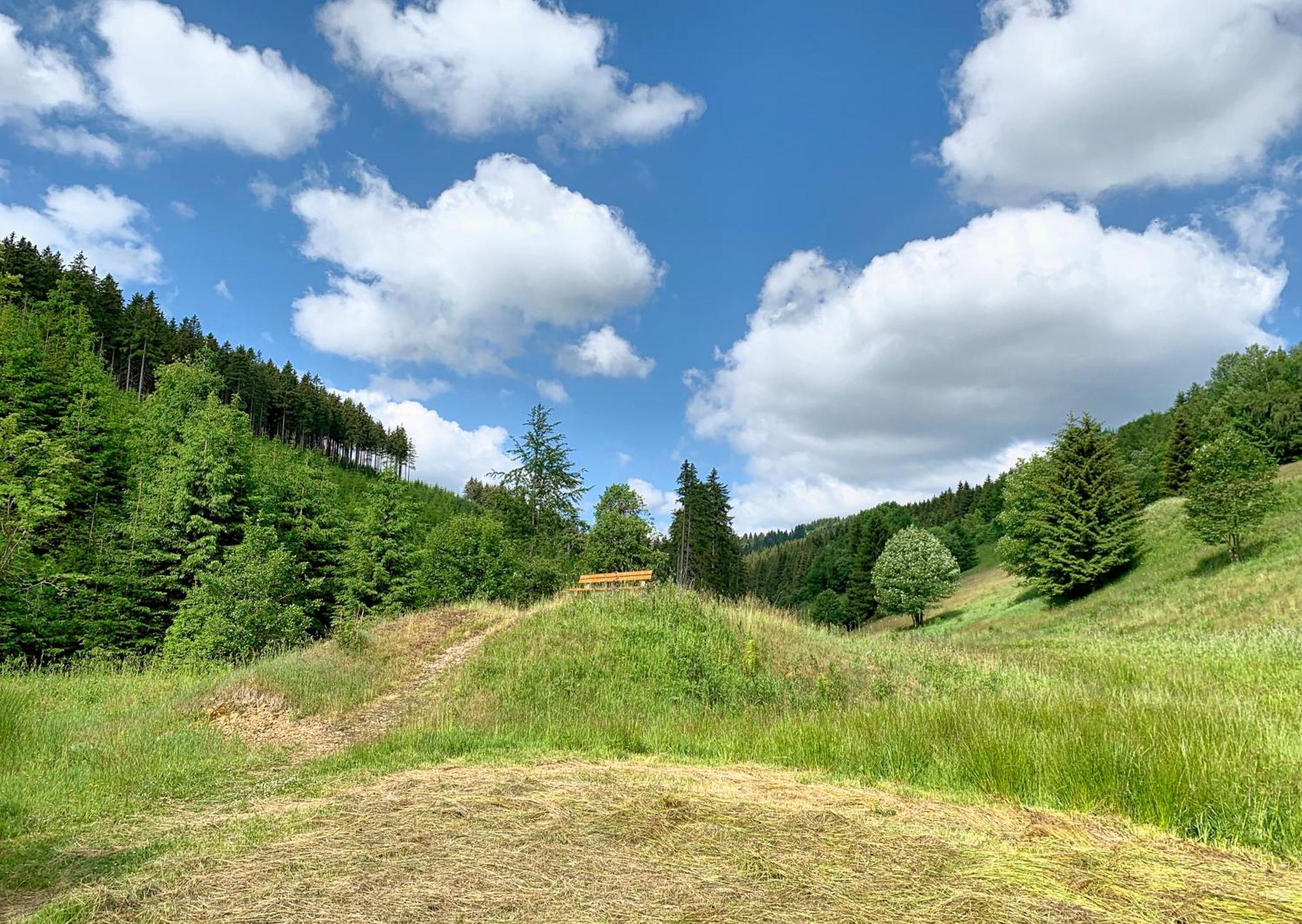 Erzgebirge Suite Bergruhe Oberwiesenthal Eksteriør billede