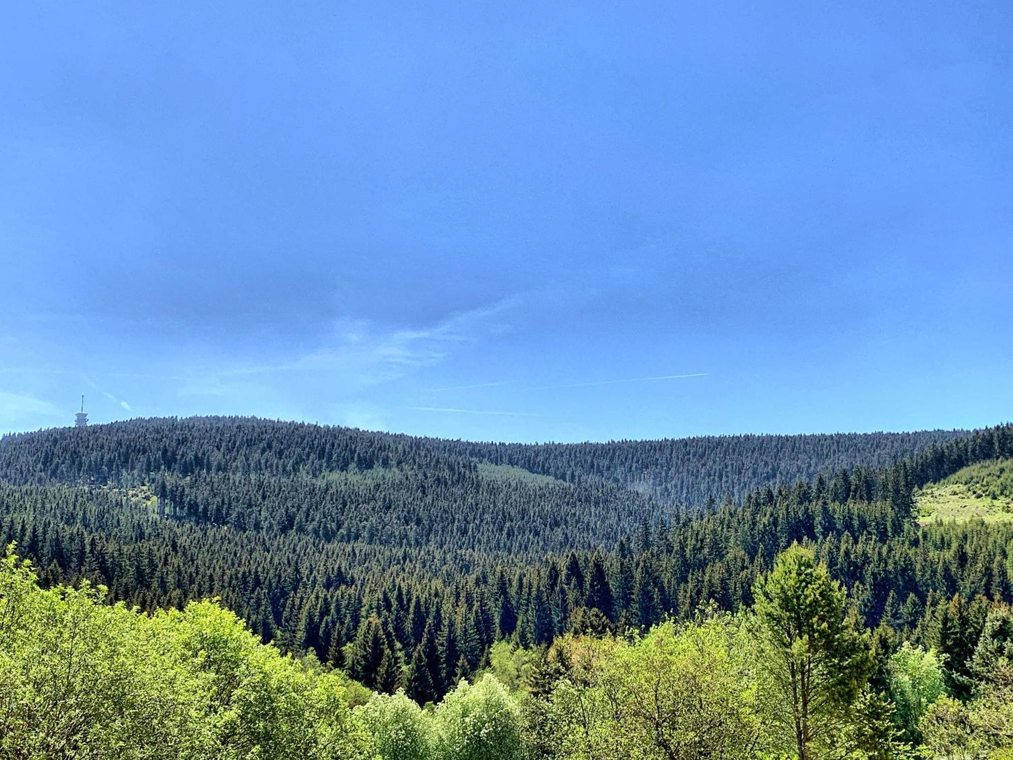 Erzgebirge Suite Bergruhe Oberwiesenthal Eksteriør billede